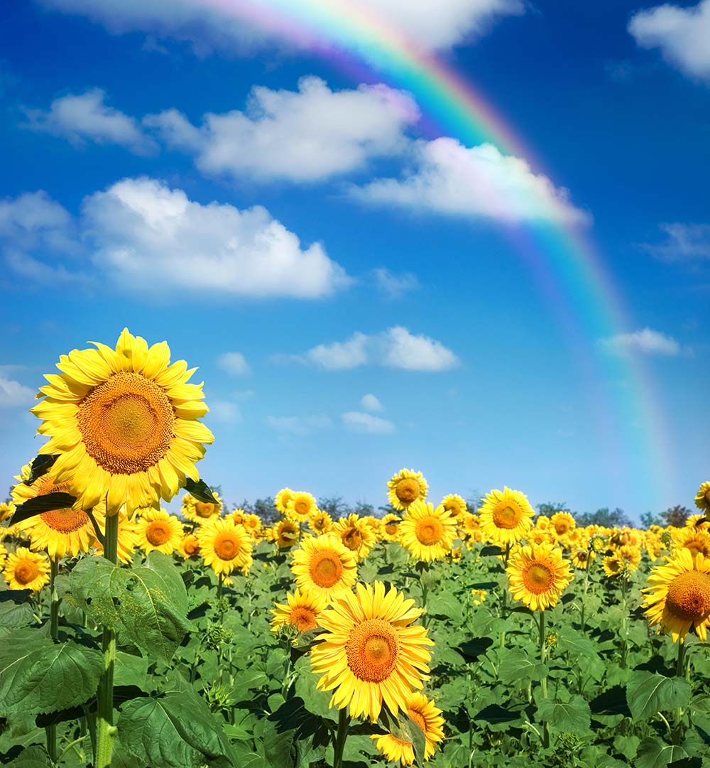 Орындықтағы анальды секс позициялары