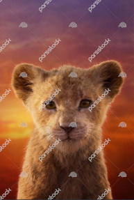 Львица Нала