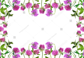 Фон из клевера