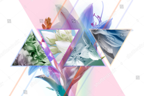 Геометрия с цветами