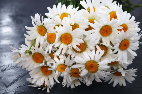 Букет ромашек