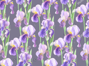 Акварельные ирисы