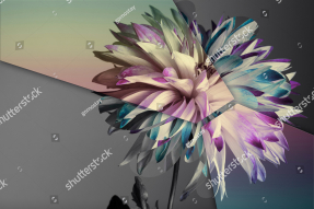 Необычная хризантема