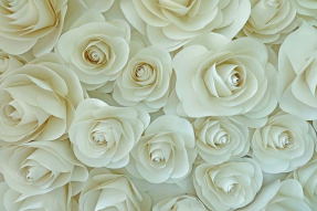 Белые бумажные розы
