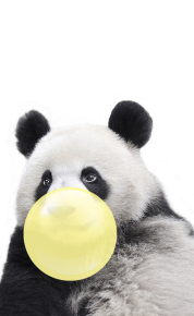 Картины Панда с жвачкой