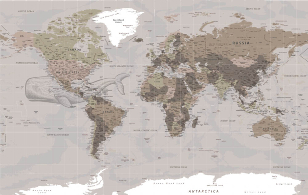 Карта мира с китом