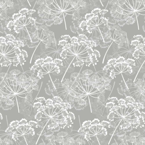 Укроп на сером фоне