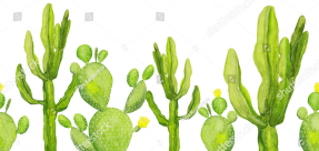 Акварельные кактусы