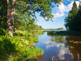 Летнее озеро