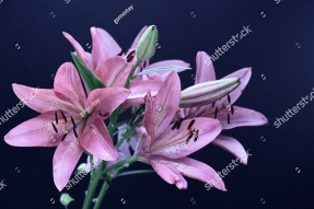 Букет из лилий