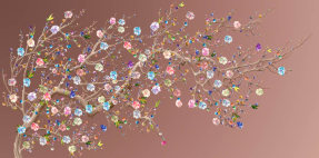 Разноцветные цветы