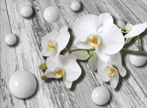 Орхидея и шары