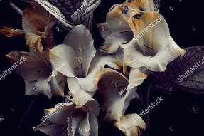 Винтажные цветы