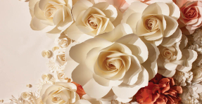 Розы на стене