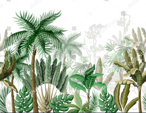 Тропические джунгли