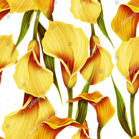 Желтые каллы