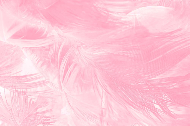 Нежные перья