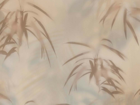 Листья в контрасте