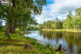 Озеро в лесу