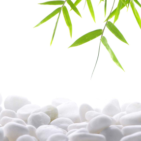 Бамбук над камнями