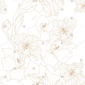 Рисованные гладиолусы