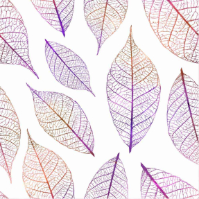 Прозрачные листья