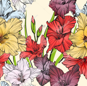 Гладиолусы