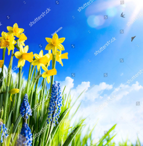 Весенние цветы