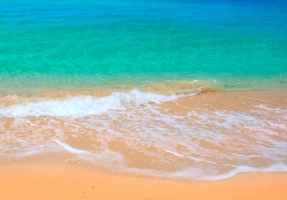 Берег и волна