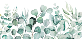 Эвкалиптовые нежные листья