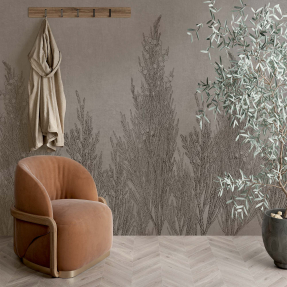 Бесцветные водоросли