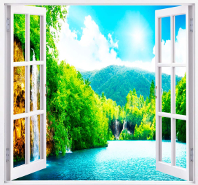 Вид на лес и озеро