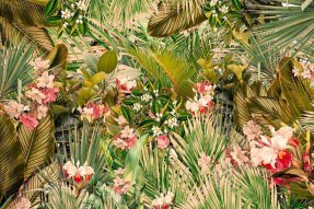 Тропические цветы в джунглях