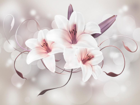 Белые лилии