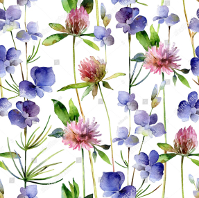 Акварельный клевер