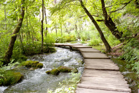 Мост по реке