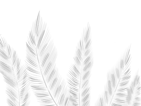 Серые листья