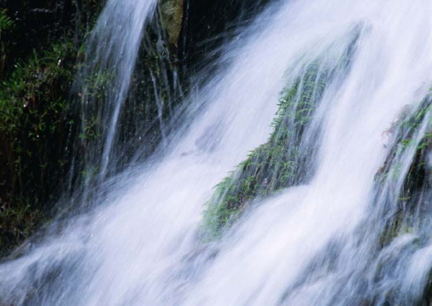 Водопад и трава