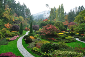 Парк у леса