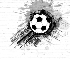 Футбольный мяч