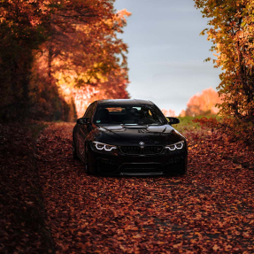 Машина в осінньому парку