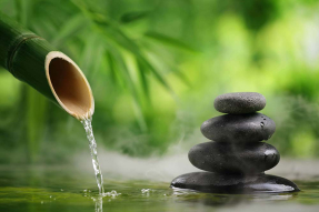 Бамбук и камни