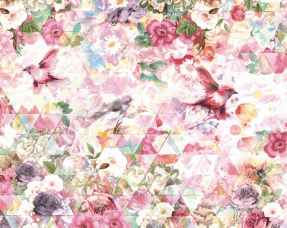 Яркие птицы