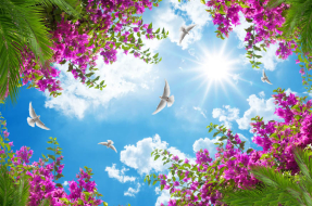 Небо и цветы