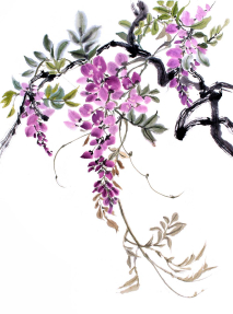 Акварельная глициния