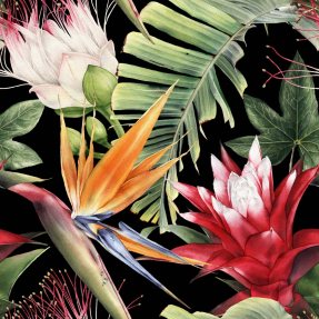 Тропические цветы