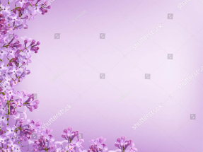 Сиреневый фон