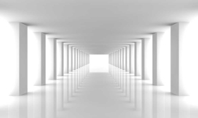 Белый тоннель