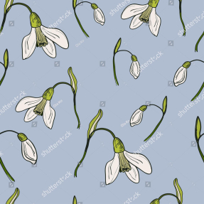 Цветки подснежников