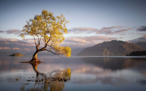 Утреннее сияние